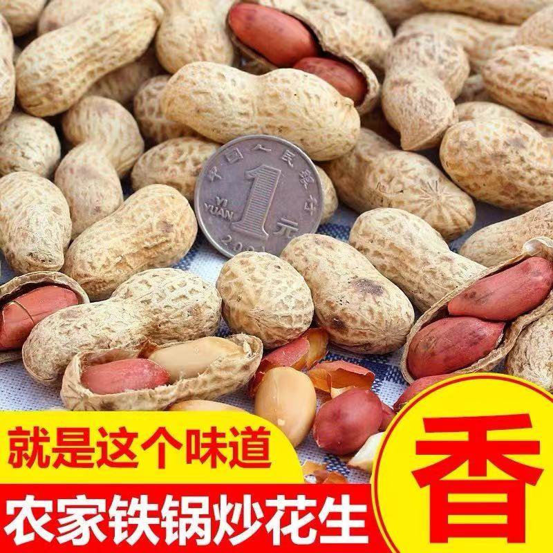 山东大花生农家铁锅炒熟花生新货精选炒花生带壳坚果零食果子蒜香