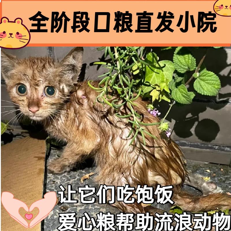 云投喂购买粮食（直达流浪基地）街头无助动物专项链接以商养善