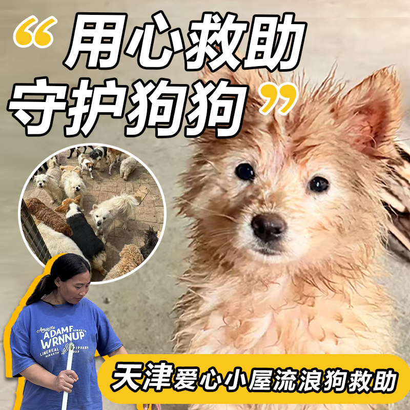 云投喂购买粮食（直达流浪基地）街头无助动物专项链接以商养善