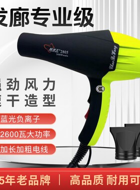 大功率负离子蓝光发廊电吹风机