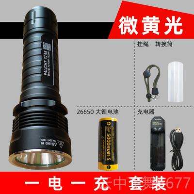 正品正品霸光手电筒A8-X96020第24款2665射0强光手电筒T6L充2电灯