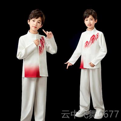 正品大主合唱演出服六一男琴童中山装童钢演奏礼服裙女童儿公裙中