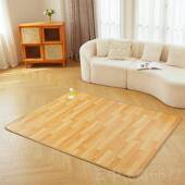 正品 顺暖润碳晶地垫地垫地暖热垫发热电热地毯加家用石墨三烯热垫