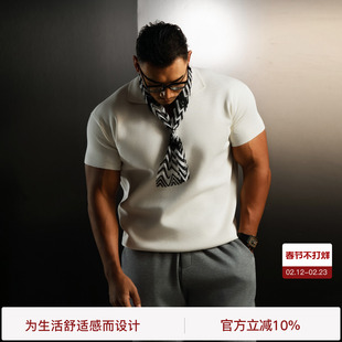 【动静之间】BODYDREAM老钱风海鸥领POLO衫男夏短袖肌理感针织T恤