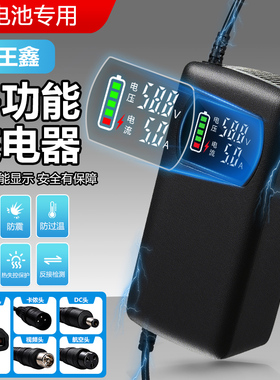 锂电池电动电瓶车充电器48V54.6V58.4V58.8V2A3A5A快充代驾车通用