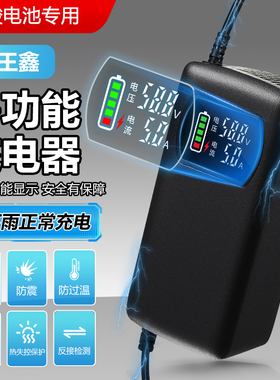 自动断电防水电动车电瓶充电器48V12A20A32AH35A适用爱玛雅迪三轮