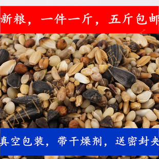 精品鹦鹉鸟粮亚历金太小太迷你凯克贾丁等中型鹦鹉混合粮五斤包邮
