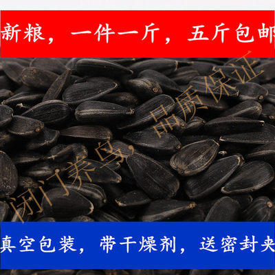 仓鼠零食闭门瓜子小黑仓鼠零食