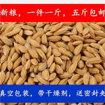鹦鹉鸟粮闭门带壳零食