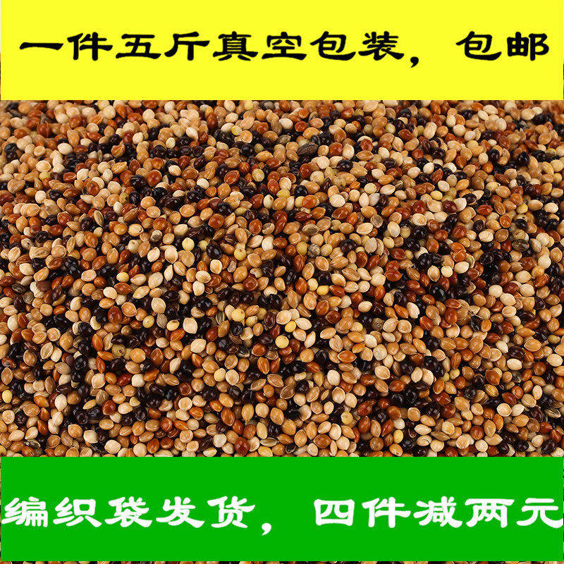 虎皮牡丹玄凤中小型鹦鹉鸟食饲料五色黍子糜子混合粮谷子包邮5斤
