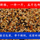 小型鹦鹉混合饲料文鸟虎皮太平洋小玄风一斤全价鸟粮五斤全国 包邮