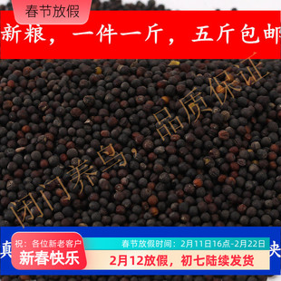 油菜籽牡丹虎皮鸟食鹦鹉饲料1斤五斤全国包邮东北鸟粮鹦鹉油料