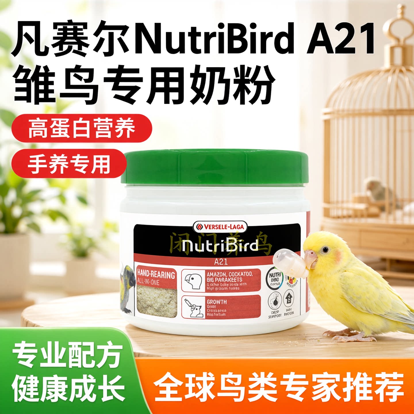 原装正品凡赛尔A21A19鹦鹉奶粉雏鸟手养鸟小罐净重250克送喂奶勺