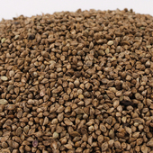 东北25年新粮草籽水稗子鹦鹉掉膘牡丹玄凤虎皮文鸟粮食饲料500g