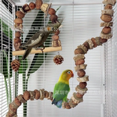 鹦鹉玩具花椒木天然坚果啃咬挂串墨鱼骨杨桃千秋原木磨牙解闷鸟用