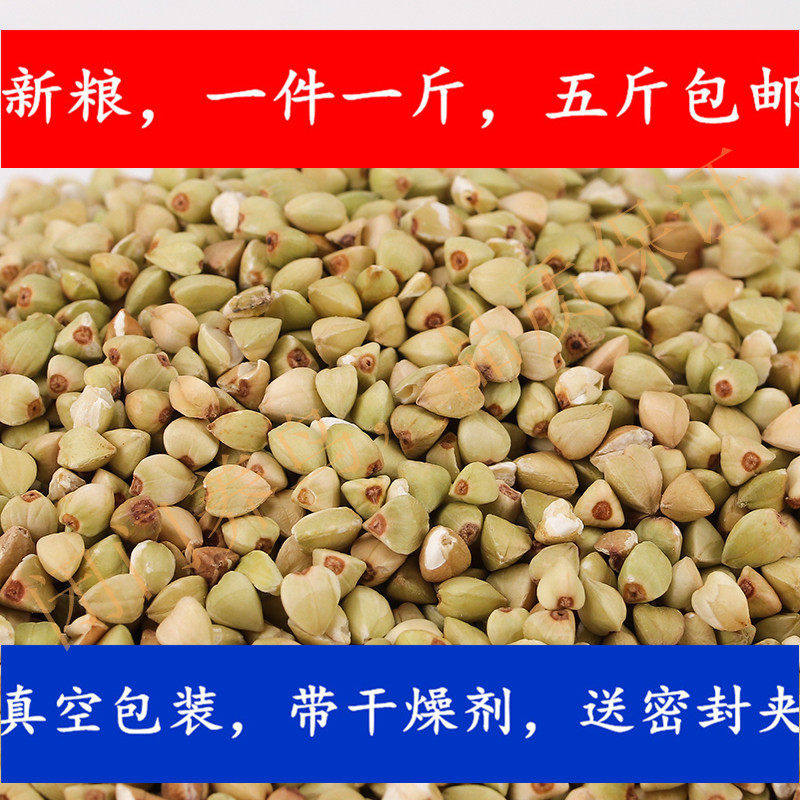无壳荞麦荞麦米荞麦仁五斤包邮鹦鹉饲料鹦鹉饲料无壳鸟食饲料500G