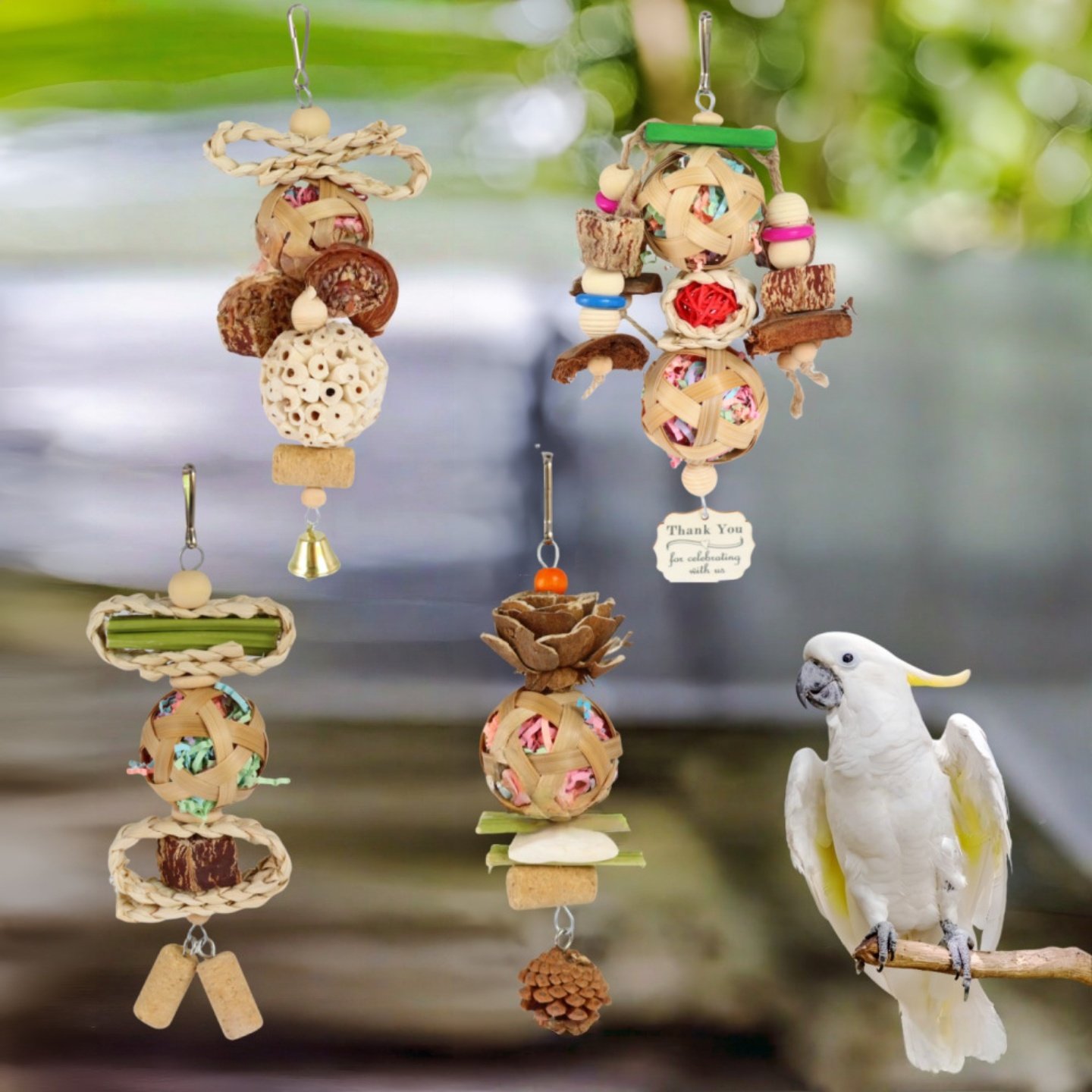 鹦鹉玩具木瓜茎松果软木玉米皮通草球杨桃拉丝啃咬解闷鸟用品玩具,宠物/宠物食品及用品,鸟禽其他,淘宝优惠券,粉丝福利购,淘宝优惠卷