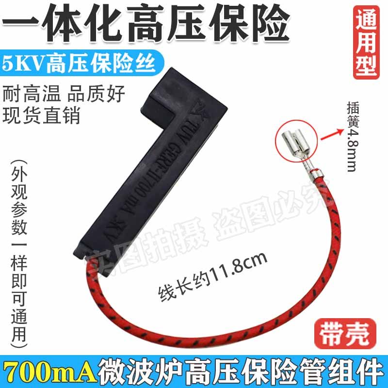 a650mA800ma高压保险管黑色图片
