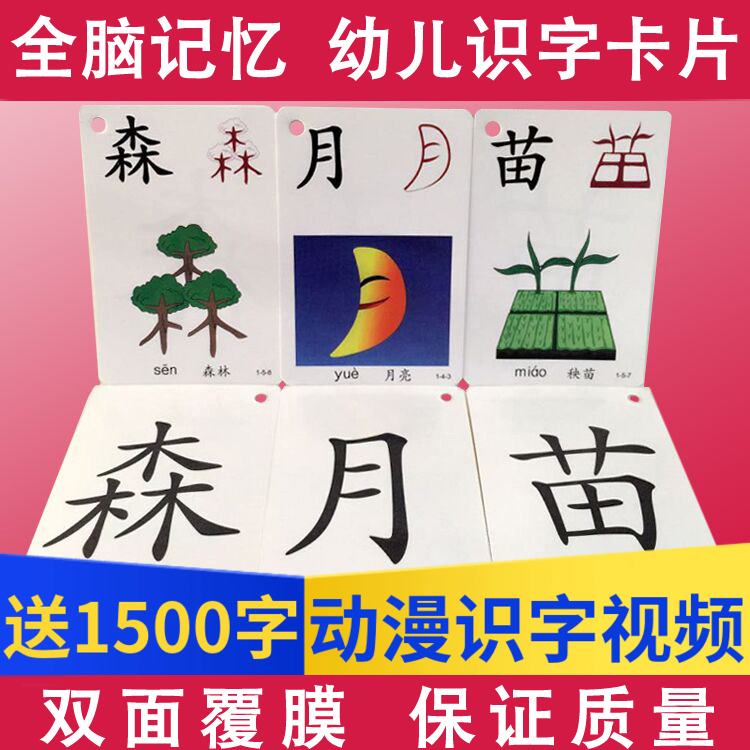 幼儿园识字卡全脑趣味动漫2-7岁