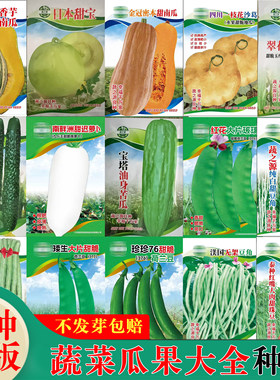 广东四季蔬菜种子黄瓜苦瓜萝卜番豇豆角南瓜沙葛丝瓜甜宝瓜果大全
