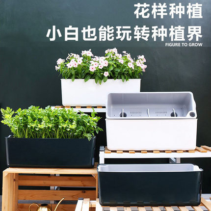家用懒人阳台种菜专用盆大号花盆长方形塑料窗台家庭蔬菜种植神器