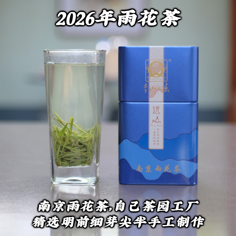 2026明前特二级南京特产雨花茶芽尖新茶毛尖绿茶100g简装送礼