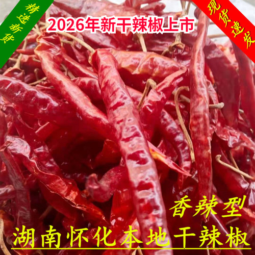 湖南怀化特产农家种植新鲜干辣椒