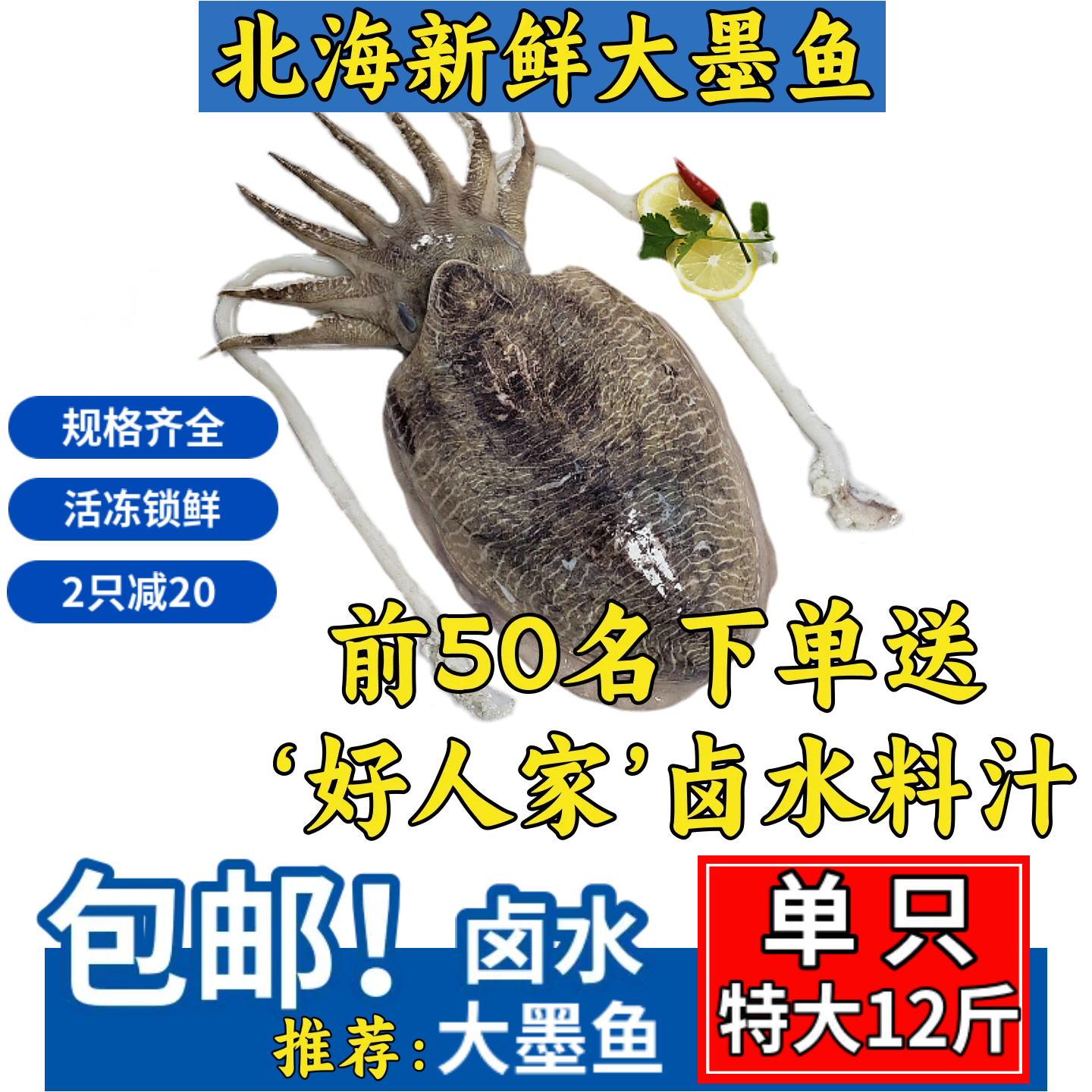 单只12斤北海特大墨鱼鲜活超大巨型新鲜墨鱼卤水花枝目鱼乌贼商用