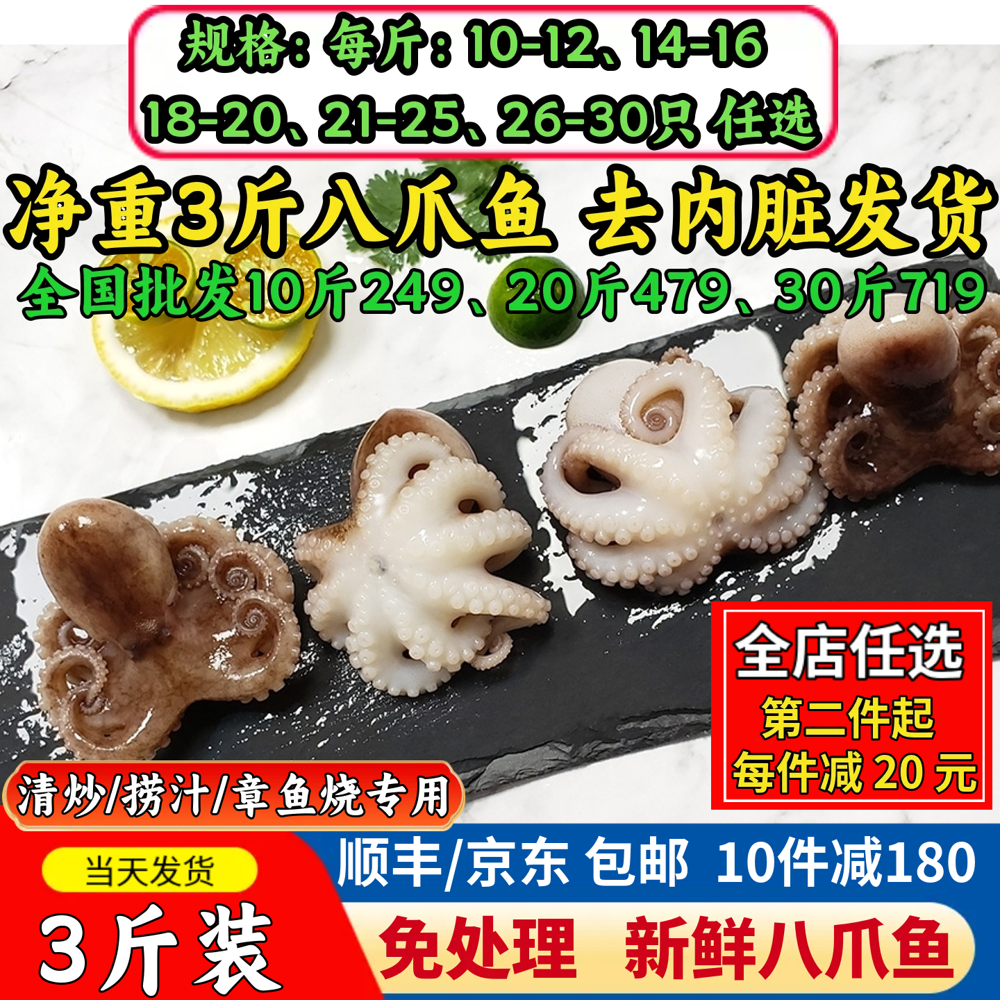 新鲜八爪鱼迷你章鱼小丸子鲜活水产短腿章鱼烧捞汁小海鲜商用批发