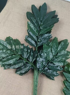 仿真荔枝叶手感过胶假树枝树叶秋季园林绿化装饰绿叶柠檬叶树叶