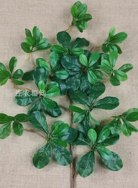 仿真福禄桐叶子假树叶树木装饰树叶手感胶树叶工程装饰叶子