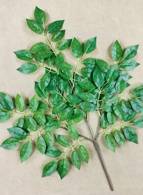 仿真小榆树叶假树枝树叶人造过胶绿叶绿植家居软装园林装饰