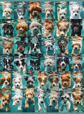 50张流水生汪贴纸可爱小狗手账装饰小图案透明手机壳DIY电脑贴画