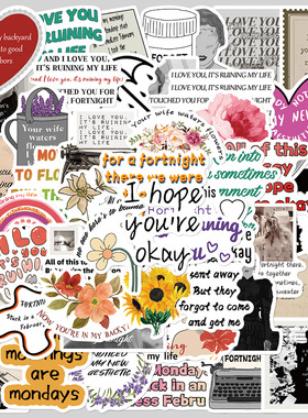 50张霉霉Fortnight专辑贴纸明星周边手账装饰透明手机壳DIY贴画