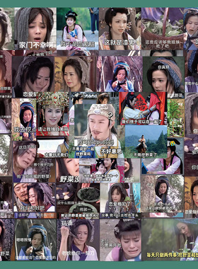 60张搞笑王宝钏挖野菜表情包贴纸手机壳手账本iPad装饰防水贴画