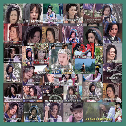 60张搞笑王宝钏挖野菜表情包贴纸