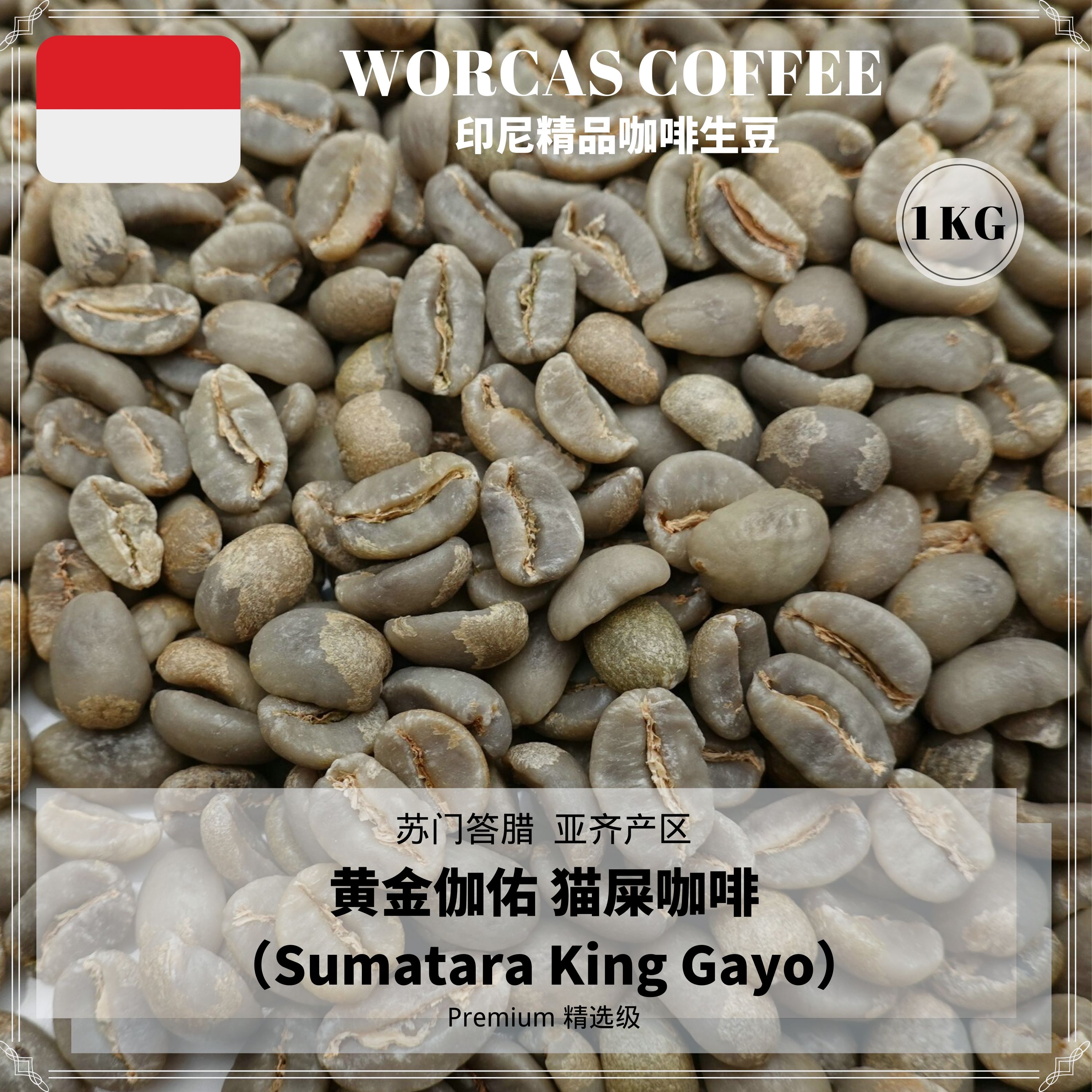 worcas印尼进口真品苏门答腊亚奇猫屎咖啡生豆醇香浓郁包邮