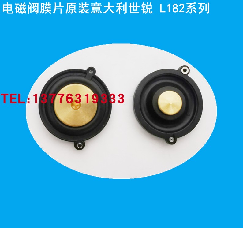 现货进口 意大利SIRAI膜片2844302R电磁阀L182B01口径1/2-3/8用