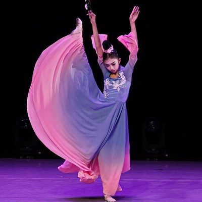 新选女童艺考独舞古典剧目折枝盼儿童舞蹈表演出T服装中国舞飘逸