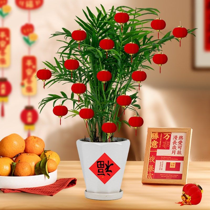 人气元旦a小红灯笼盆栽挂饰新年装饰植绒红色树上挂件院子户外布,节庆用品/礼品,灯笼,淘宝优惠券,粉丝福利购,淘宝优惠卷