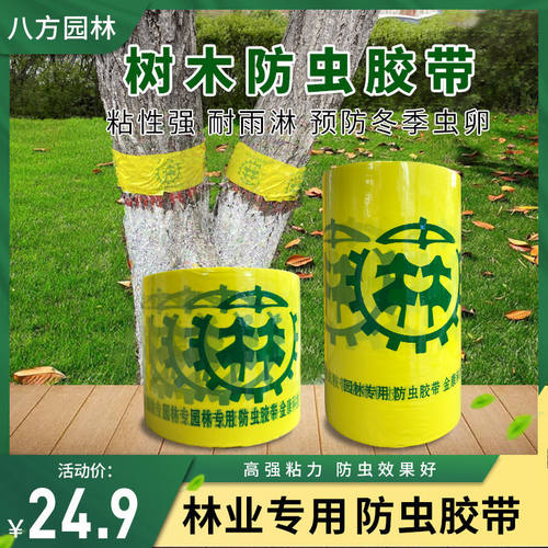 树木防虫胶带黏虫粘虫林业专用药物胶带果树园林诱虫缠树诱虫带