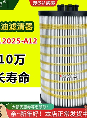 1012025-A12000机油滤芯适配解放J6L虎V龙国五一汽大柴道依茨4DK1