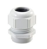 SKINTOP ST-M25x1.5 53111430缆普lapp防水电缆接头浅灰色格兰头