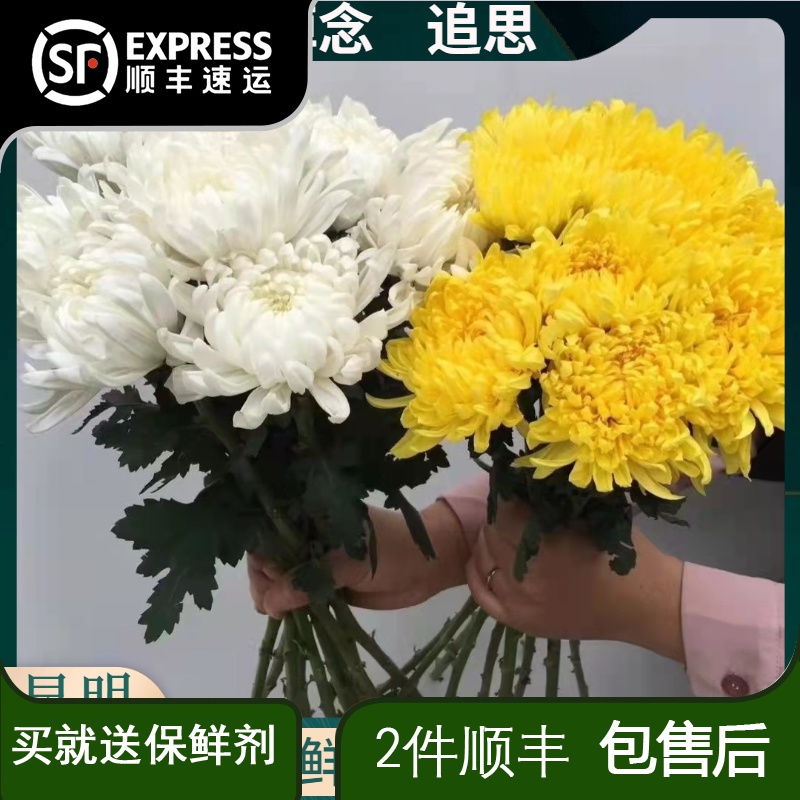 清明节花卉云南直发追思悼念扫墓