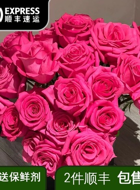 弗洛伊德玫瑰鲜花云南昆明斗南基地花卉直发鲜切花水养家用插花