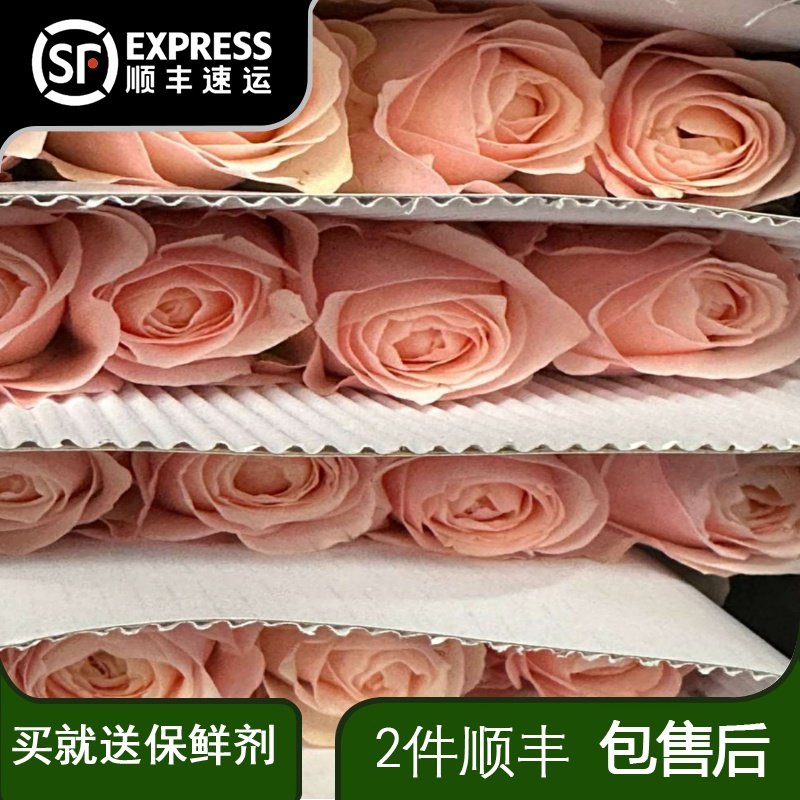 凯瑟琳玫瑰花粉色稀有小众送礼真花斗南鲜花基地直发花卉鲜切花,鲜花速递/花卉仿真/绿植园艺,花材,淘宝优惠券,粉丝福利购,淘宝优惠卷
