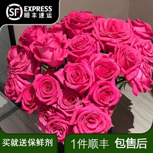 弗洛伊德玫瑰鲜花云南昆明斗南基地花卉直发鲜切花水养家用插花
