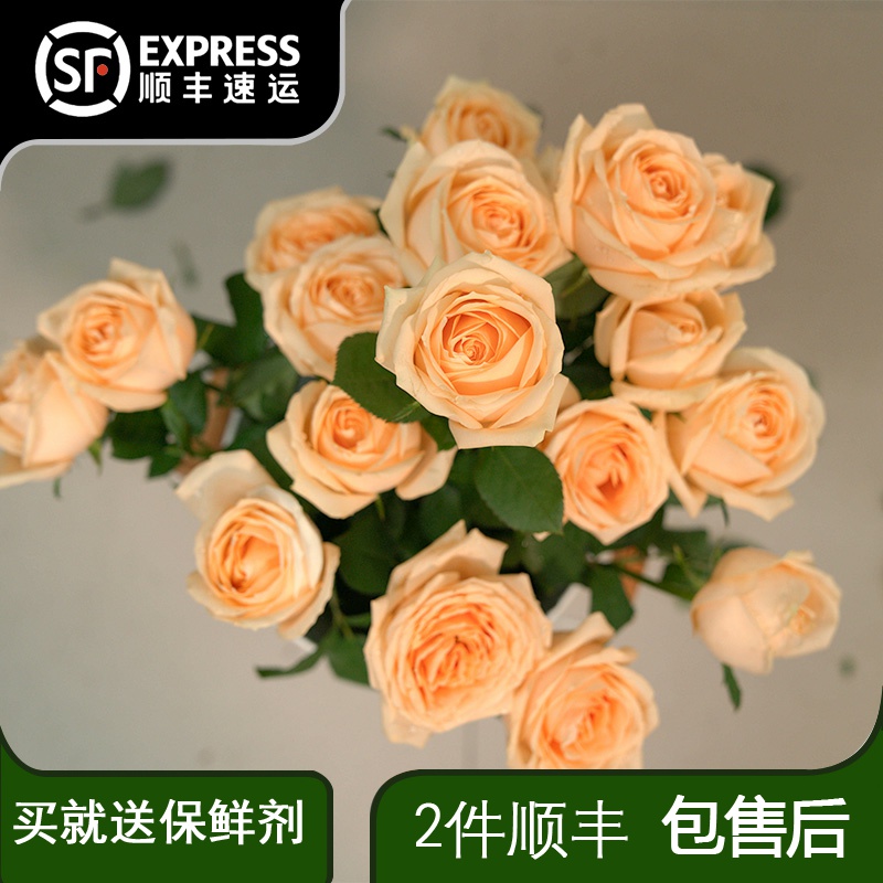 鲜花香槟玫瑰碎冰百合云南水养