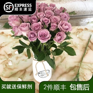 紫玫瑰云南鲜花基地直发插花鲜花任意两单顺丰损坏包售后