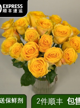 黄玫瑰鲜花活泼的橙色系玫瑰花鲜花云南直发奥斯汀花型玫瑰鲜切花